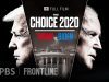 the choice 2020 trump vs biden f