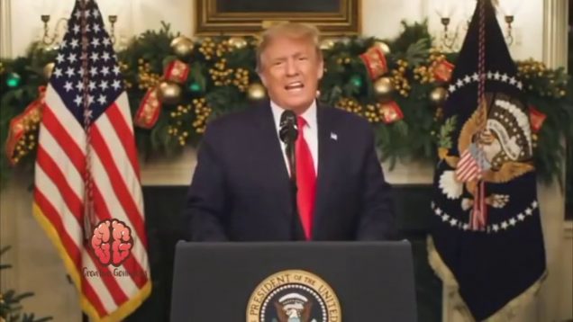 president trump breaks down his