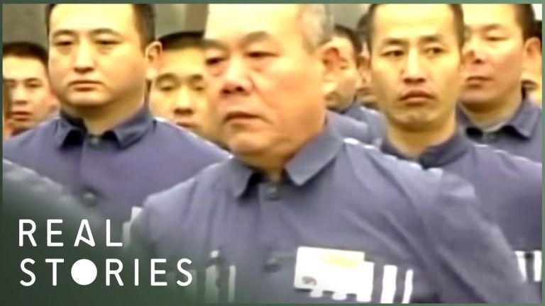 fighting chinas forced organ har