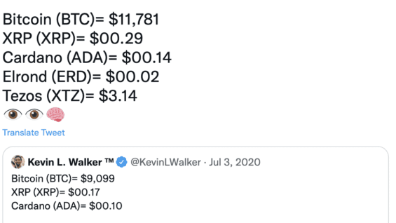 Kevin L. Walker Shares Piiggy Bank Labs Multi Million Dollar Portfolio Allocation