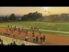 moreno valley cheerleaders greet