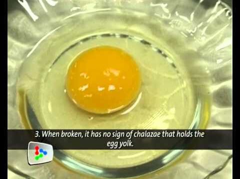 fake chinese eggs are a big prob