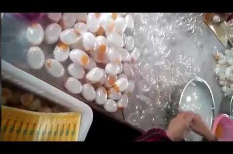 how to identify fake eggs and or