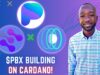 Paribus ($PBX) Team Interview – Real World Assets, NFT Loans & Use Cases, Oracles on Cardano ($ADA)