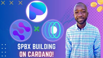 Paribus ($PBX) Team Interview – Real World Assets, NFT Loans & Use Cases, Oracles on Cardano ($ADA)