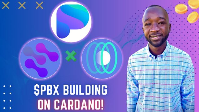 Paribus ($PBX) Team Interview – Real World Assets, NFT Loans & Use Cases, Oracles on Cardano ($ADA)